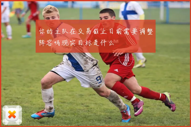 你的主队在交易截止日前需要调整阵容吗现实目标是什么